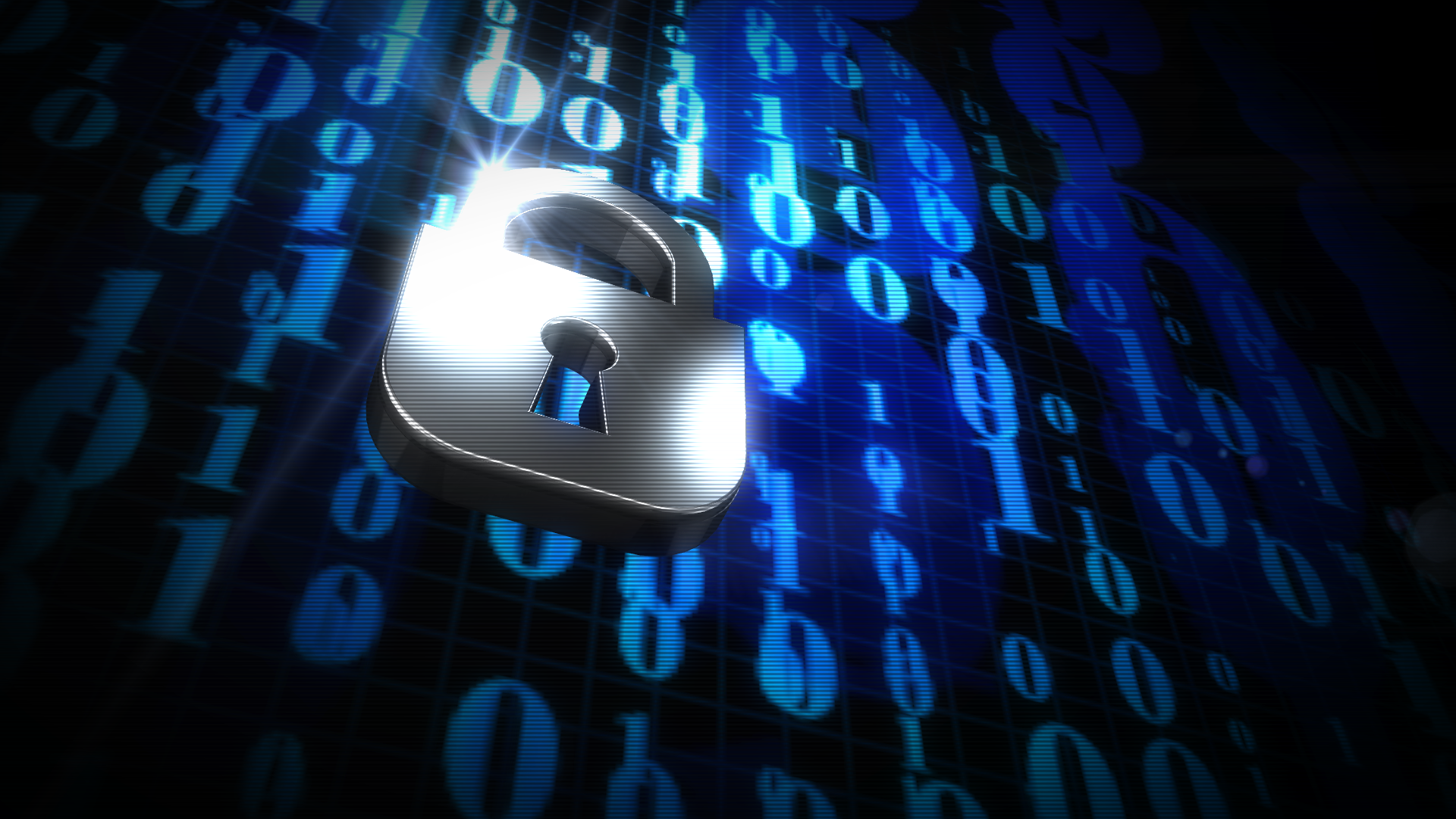 Internet Fraud Litigation