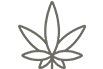 Cannabis