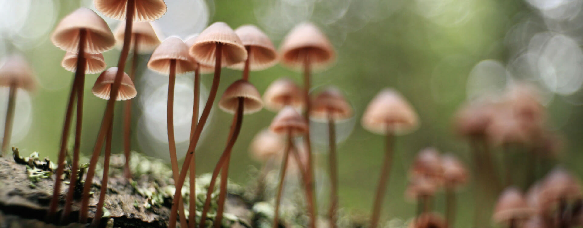 Depositphotos l