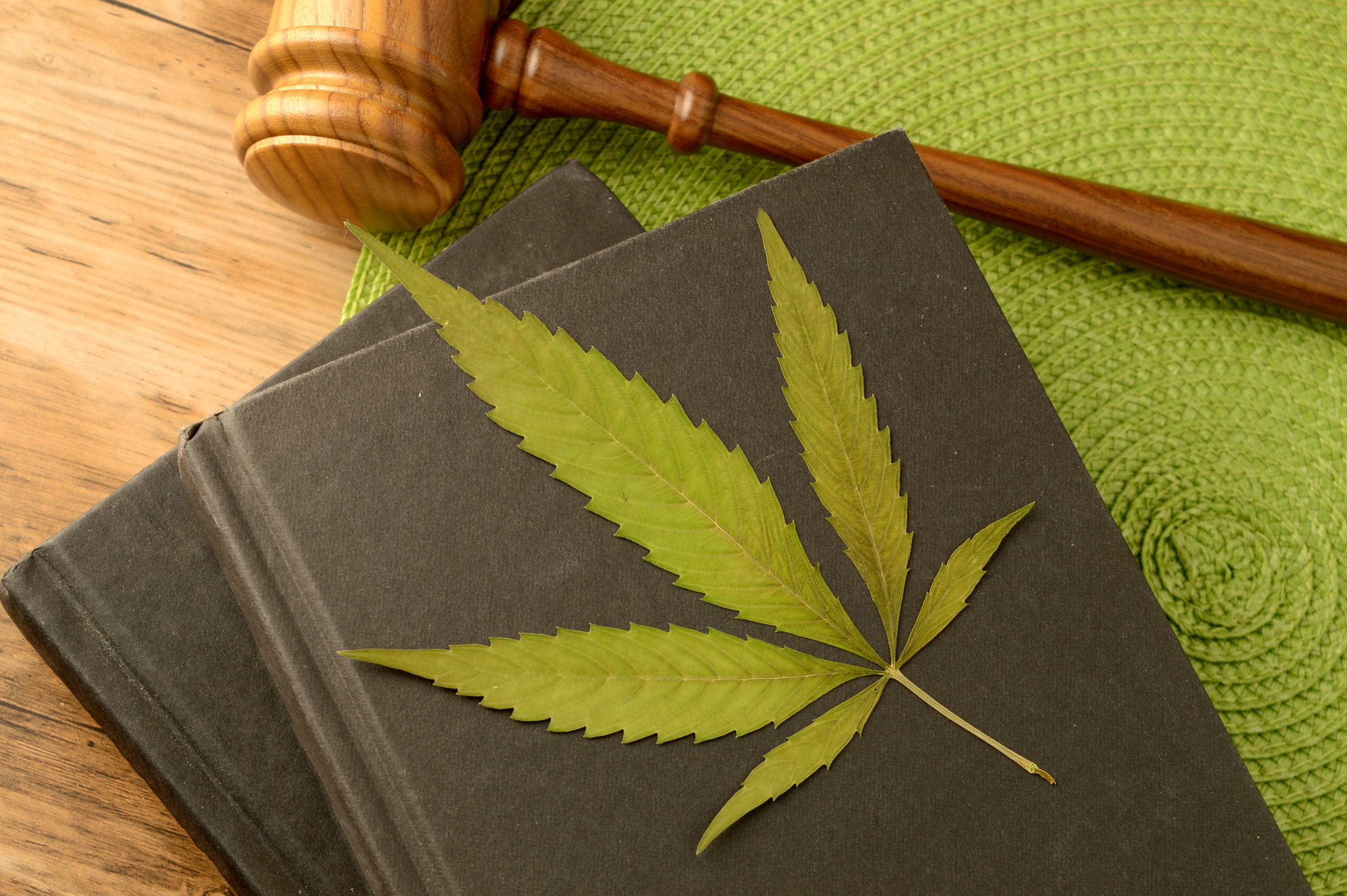 cannabis litigation